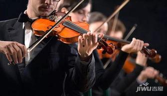 光遇最新小提琴爆料,神秘小提琴揭秘，探寻音乐与梦境的奇妙之旅